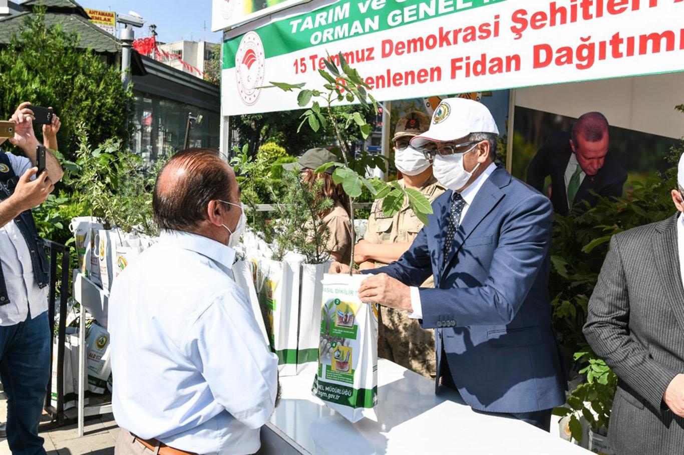 Vali Bilmez, 15 Temmuz anısına vatandaşlara fidan dağıttı